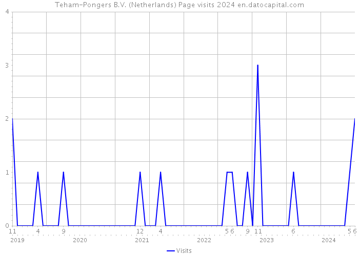 Teham-Pongers B.V. (Netherlands) Page visits 2024 