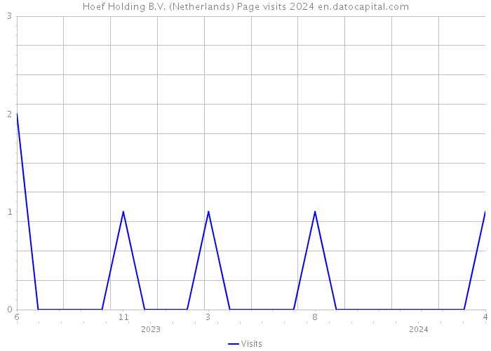 Hoef Holding B.V. (Netherlands) Page visits 2024 