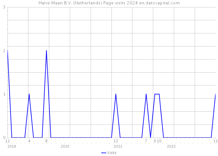 Halve Maan B.V. (Netherlands) Page visits 2024 