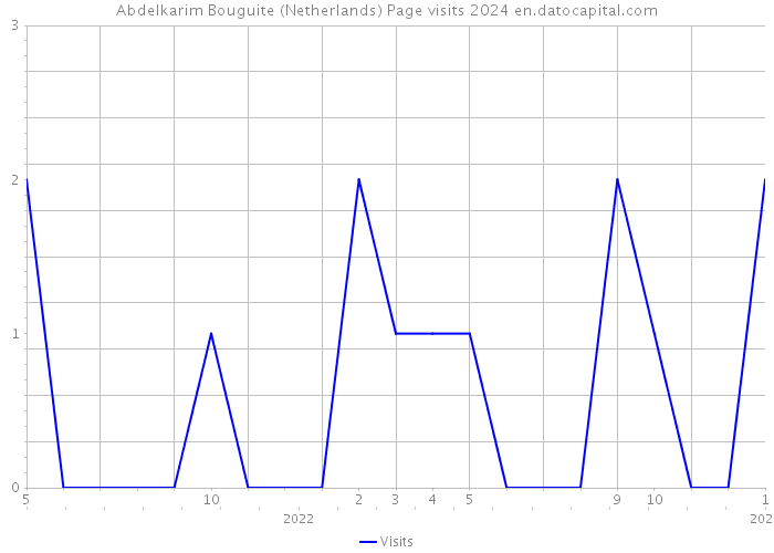 Abdelkarim Bouguite (Netherlands) Page visits 2024 