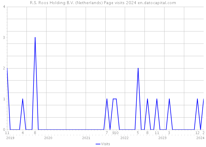 R.S. Roos Holding B.V. (Netherlands) Page visits 2024 