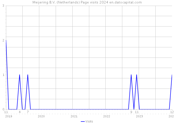 Meijering B.V. (Netherlands) Page visits 2024 