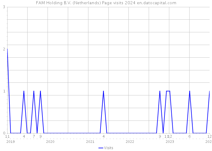 FAM Holding B.V. (Netherlands) Page visits 2024 