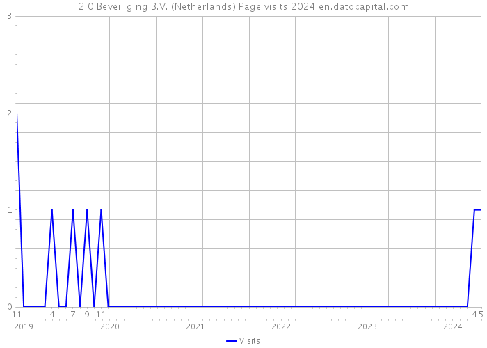 2.0 Beveiliging B.V. (Netherlands) Page visits 2024 