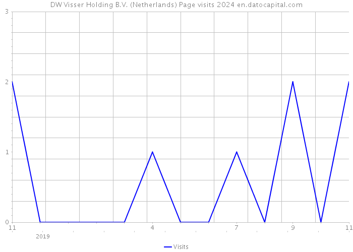 DW Visser Holding B.V. (Netherlands) Page visits 2024 