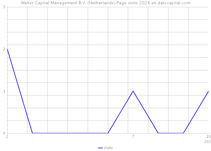 Walter Capital Management B.V. (Netherlands) Page visits 2024 