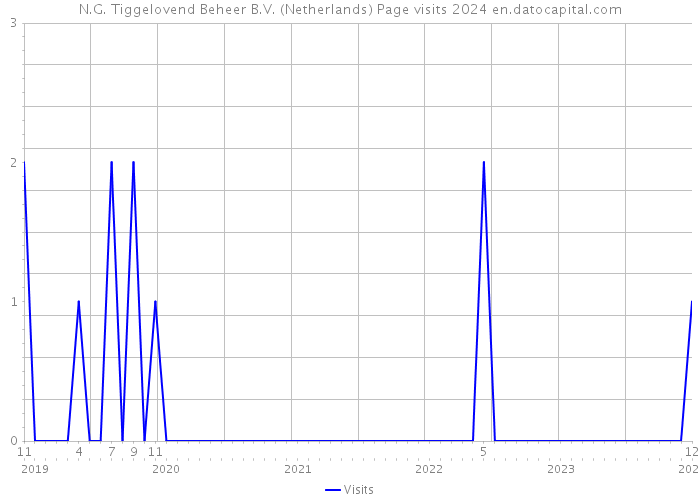 N.G. Tiggelovend Beheer B.V. (Netherlands) Page visits 2024 