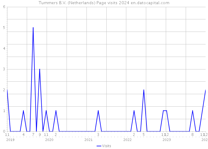 Tummers B.V. (Netherlands) Page visits 2024 