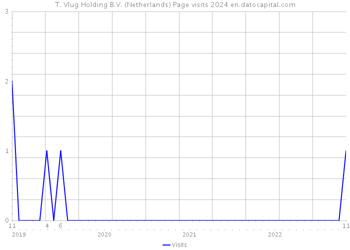 T. Vlug Holding B.V. (Netherlands) Page visits 2024 