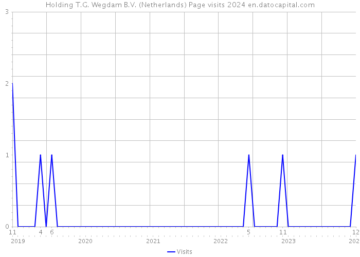 Holding T.G. Wegdam B.V. (Netherlands) Page visits 2024 