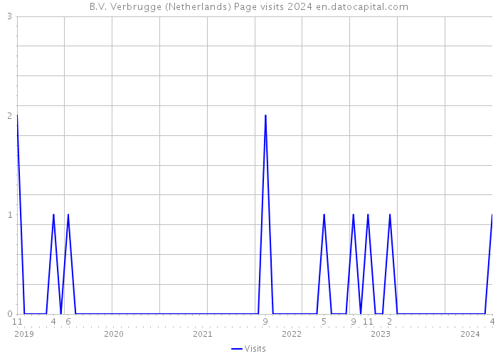 B.V. Verbrugge (Netherlands) Page visits 2024 
