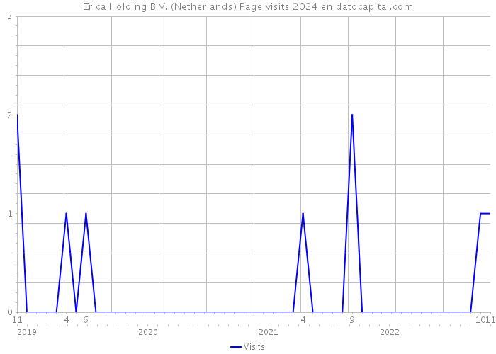 Erica Holding B.V. (Netherlands) Page visits 2024 