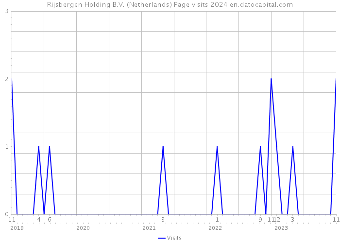 Rijsbergen Holding B.V. (Netherlands) Page visits 2024 