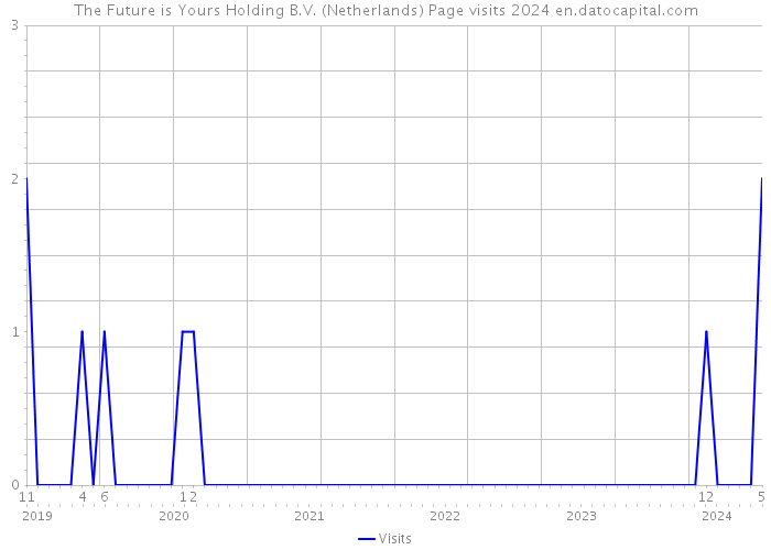 The Future is Yours Holding B.V. (Netherlands) Page visits 2024 