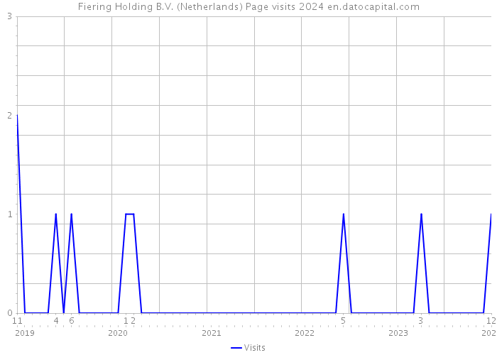 Fiering Holding B.V. (Netherlands) Page visits 2024 