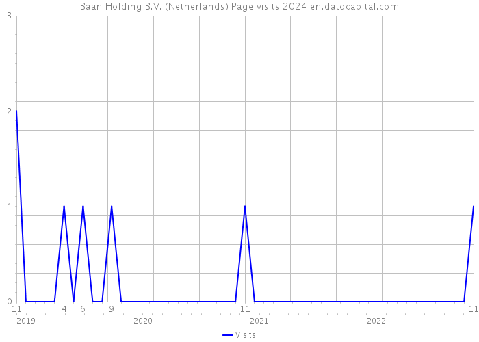 Baan Holding B.V. (Netherlands) Page visits 2024 