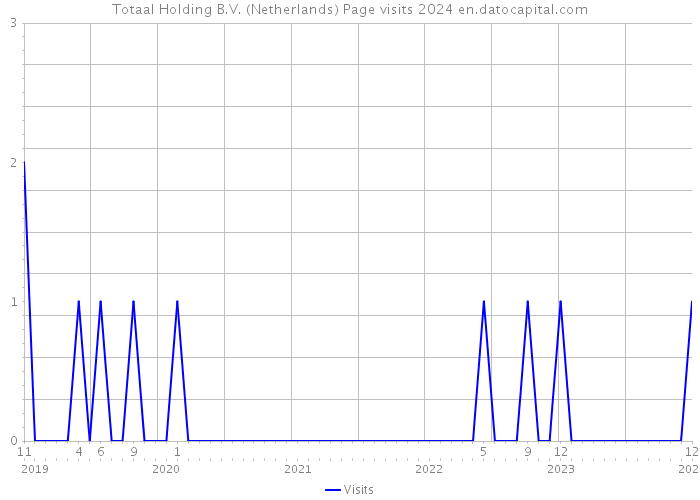 Totaal Holding B.V. (Netherlands) Page visits 2024 