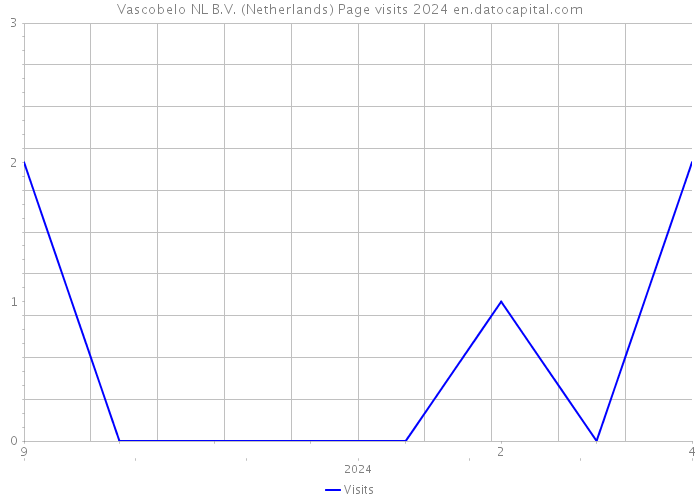 Vascobelo NL B.V. (Netherlands) Page visits 2024 