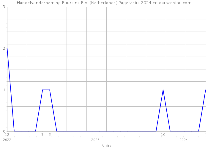 Handelsonderneming Buursink B.V. (Netherlands) Page visits 2024 