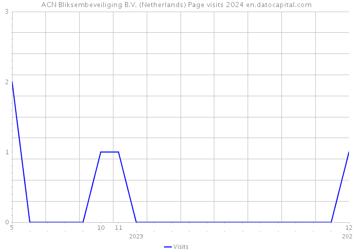 ACN Bliksembeveiliging B.V. (Netherlands) Page visits 2024 