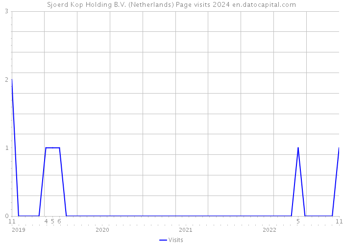 Sjoerd Kop Holding B.V. (Netherlands) Page visits 2024 
