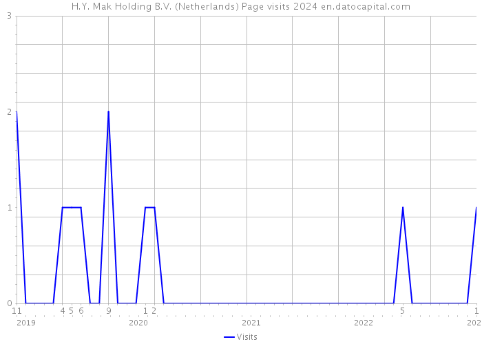 H.Y. Mak Holding B.V. (Netherlands) Page visits 2024 