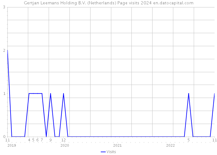 Gertjan Leemans Holding B.V. (Netherlands) Page visits 2024 