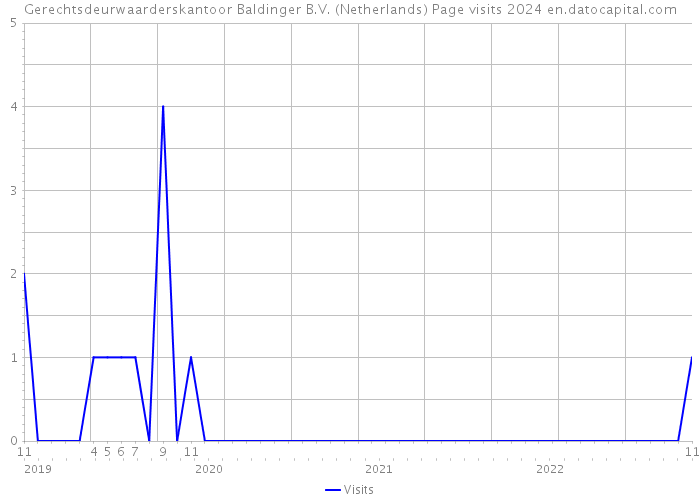 Gerechtsdeurwaarderskantoor Baldinger B.V. (Netherlands) Page visits 2024 