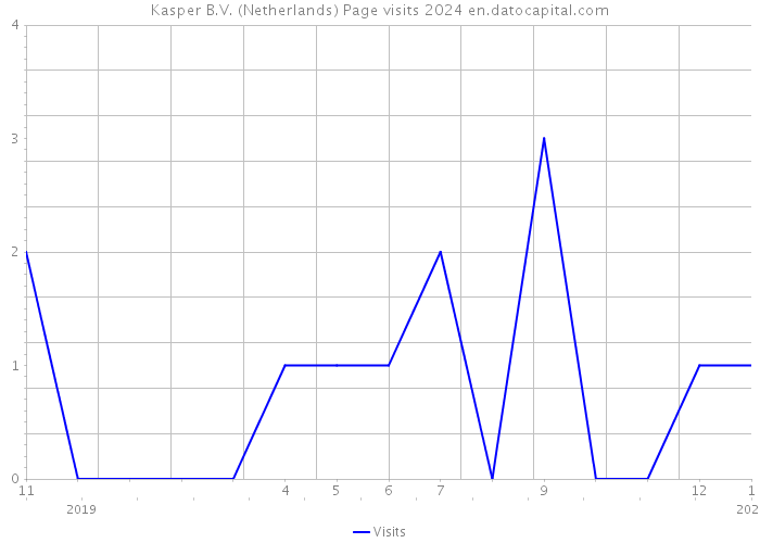 Kasper B.V. (Netherlands) Page visits 2024 