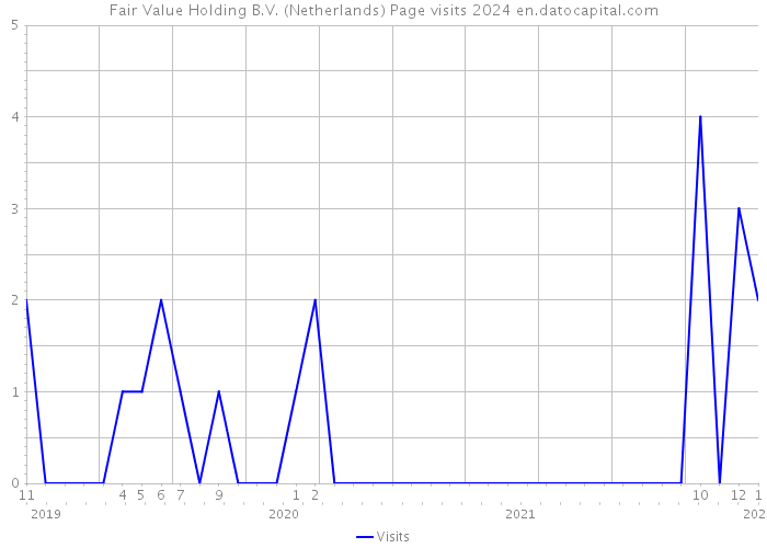 Fair Value Holding B.V. (Netherlands) Page visits 2024 