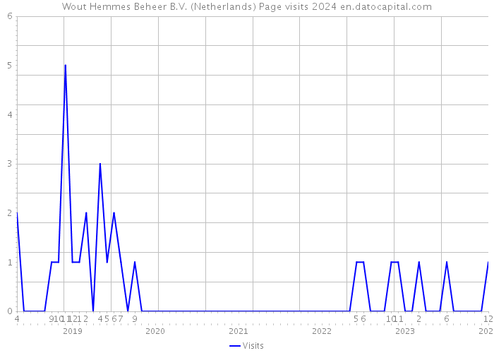 Wout Hemmes Beheer B.V. (Netherlands) Page visits 2024 