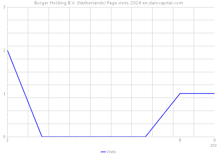 Borger Holding B.V. (Netherlands) Page visits 2024 