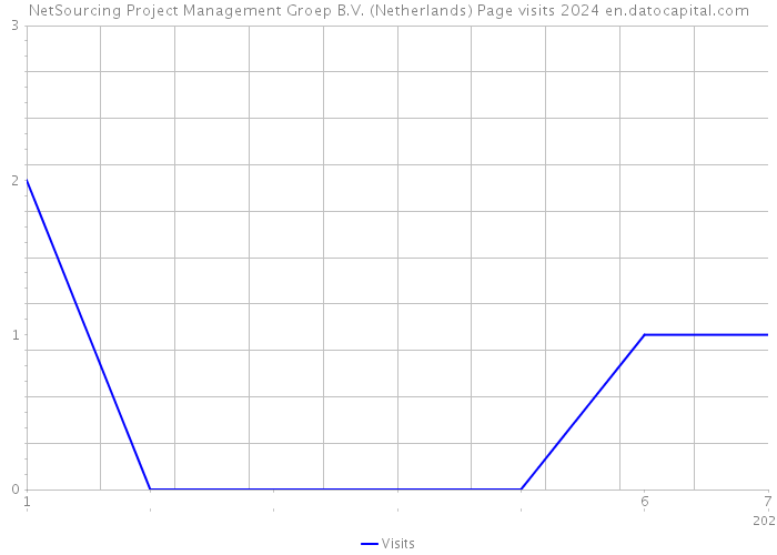 NetSourcing Project Management Groep B.V. (Netherlands) Page visits 2024 