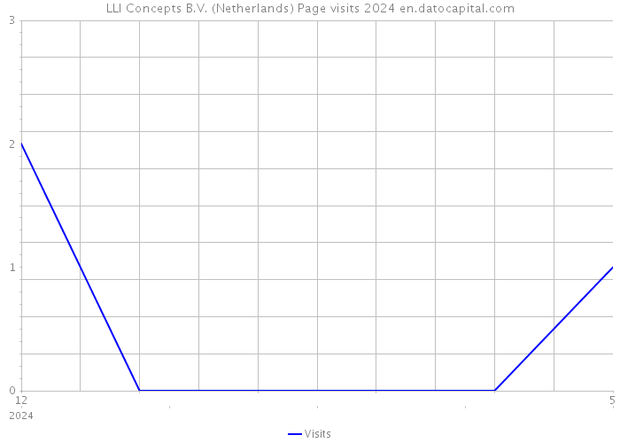 LLI Concepts B.V. (Netherlands) Page visits 2024 