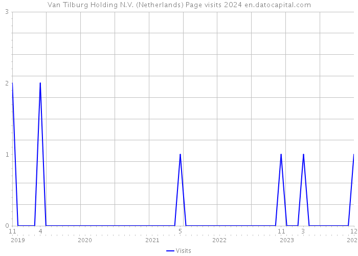 Van Tilburg Holding N.V. (Netherlands) Page visits 2024 