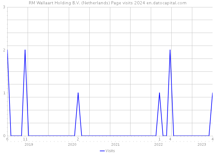 RM Wallaart Holding B.V. (Netherlands) Page visits 2024 