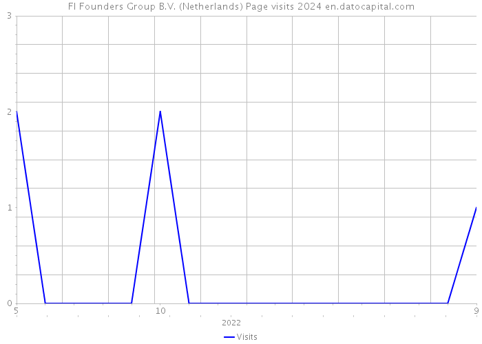FI Founders Group B.V. (Netherlands) Page visits 2024 