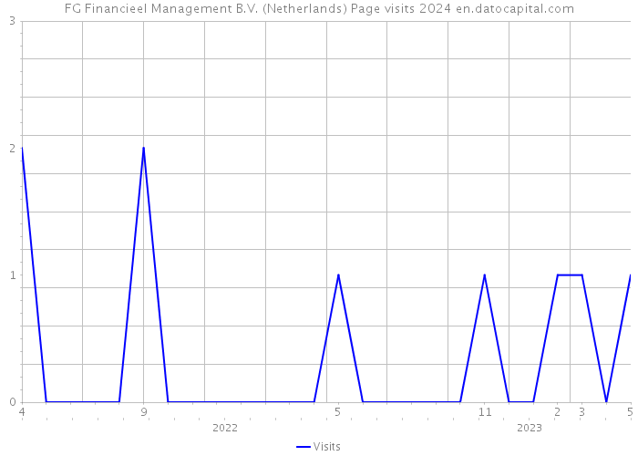 FG Financieel Management B.V. (Netherlands) Page visits 2024 