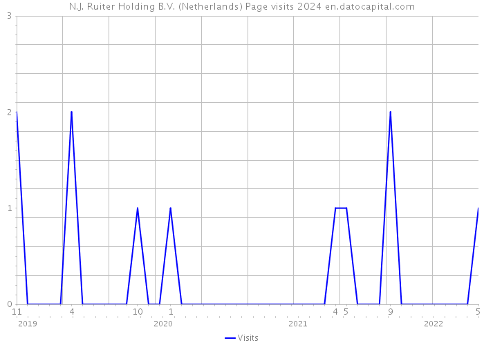 N.J. Ruiter Holding B.V. (Netherlands) Page visits 2024 