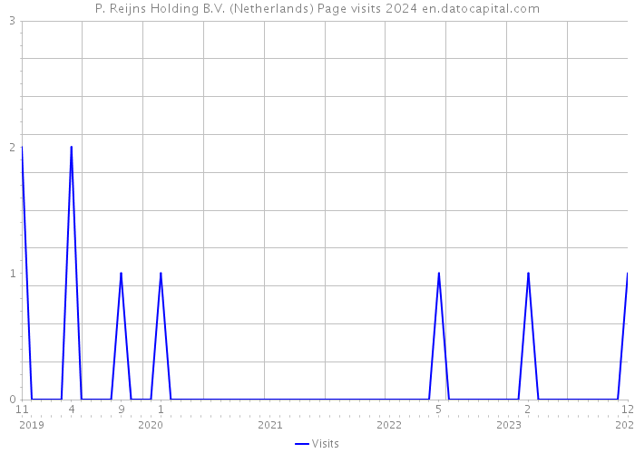 P. Reijns Holding B.V. (Netherlands) Page visits 2024 