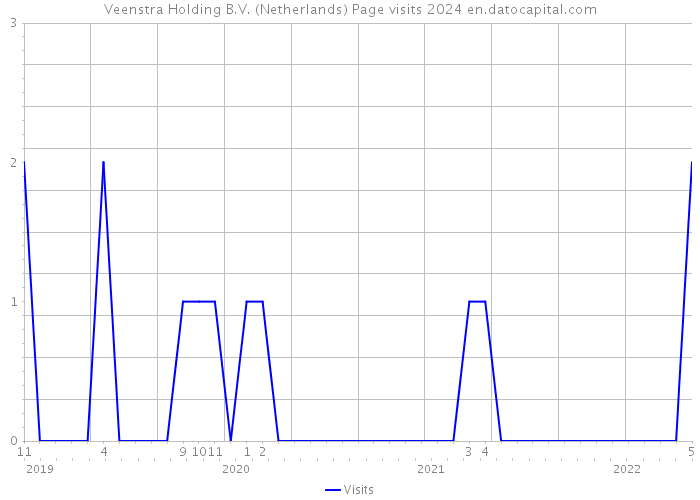 Veenstra Holding B.V. (Netherlands) Page visits 2024 