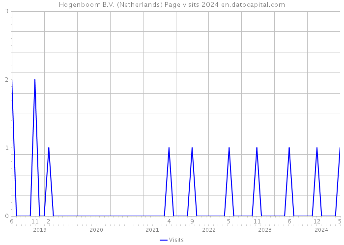 Hogenboom B.V. (Netherlands) Page visits 2024 