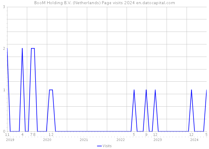 BooM Holding B.V. (Netherlands) Page visits 2024 