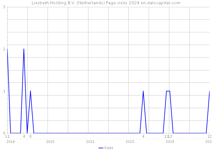 Liesbeth Holding B.V. (Netherlands) Page visits 2024 