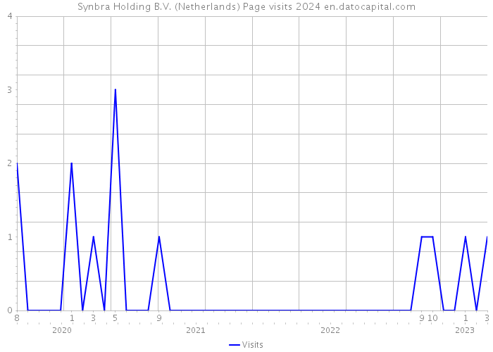 Synbra Holding B.V. (Netherlands) Page visits 2024 