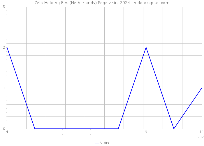 Zelo Holding B.V. (Netherlands) Page visits 2024 