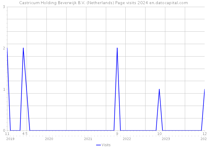 Castricum Holding Beverwijk B.V. (Netherlands) Page visits 2024 