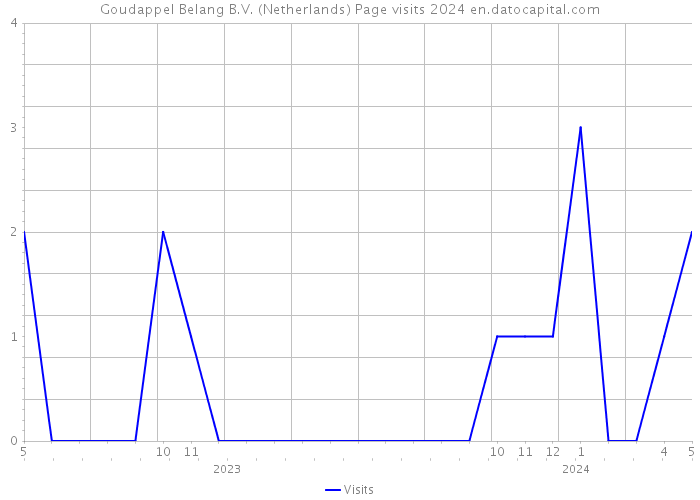 Goudappel Belang B.V. (Netherlands) Page visits 2024 