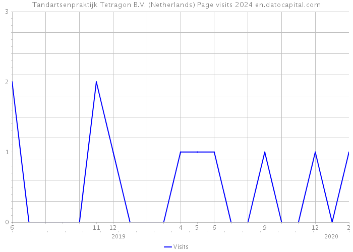 Tandartsenpraktijk Tetragon B.V. (Netherlands) Page visits 2024 