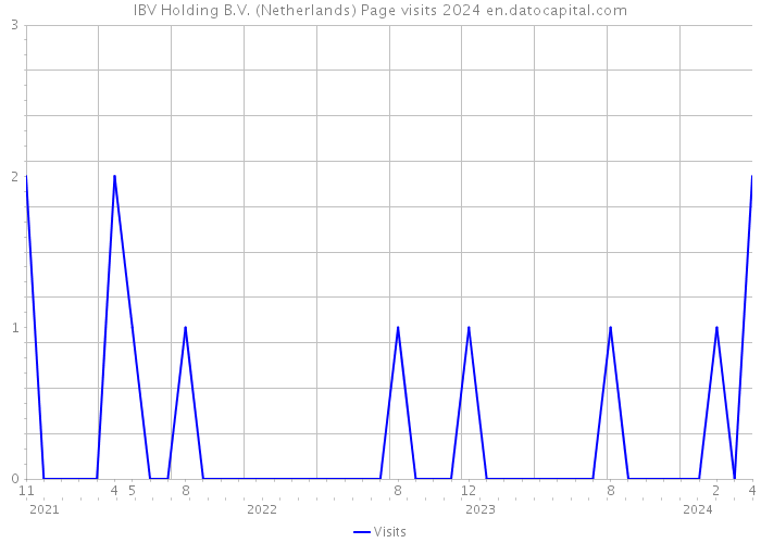 IBV Holding B.V. (Netherlands) Page visits 2024 